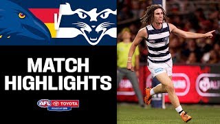 Adelaide v Geelong Highlights  Round 3 2019  AFL [upl. by Delamare]