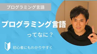 プログラミング言語とは？｜プログラミング言語が必要な理由、どんな種類があるのかなどを3分でわかりやすく解説【プログラミング初心者向け】 [upl. by Turnheim]