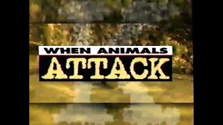 When Animals Attack 1996 [upl. by Kennith990]