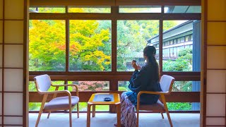 204 Japans Famous Hot Spring Town ♨️ Tattoo Friendly Kinosaki Onsen Autumn Leaves [upl. by Karylin]