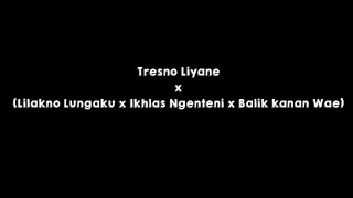 TRESNO LIYANE X LILAKNO LUNGAKU X IKHLAS NGENTENI X BALIK KANAN WAELIRIK CIDRO BARENG [upl. by Litta]