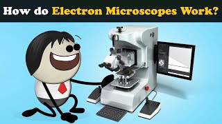 How do Electron Microscopes Scanning Work  more videos  aumsum kids science education [upl. by Monroe989]