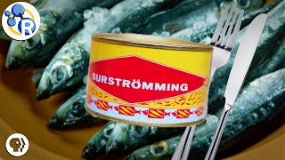 Surströmming The Secrets of this Stinky Swedish Fish [upl. by Uzzi106]