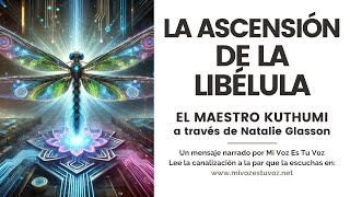 LA ASCENSIÓN DE LA LIBÉLULA  El maestro Kuthumi a través de Natalie Glasson [upl. by My]