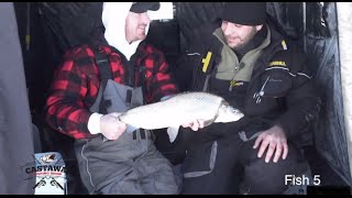 Lake Simcoe Whitefish  Ice Fishing with Stealth Rigs  Castaway Fishing [upl. by Ricca]