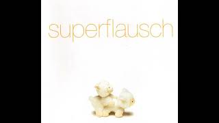 Superflausch  Ficken Popmonster Remix [upl. by Idnew]