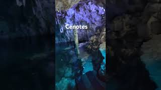 Cenotes de Yucatán [upl. by Enyrehtac689]