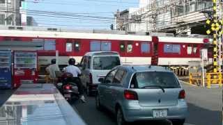 Kintetsu Takayasu Crazy Railway Crossing  experimentations [upl. by Kirad348]