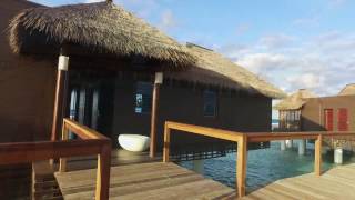 Overwater Bungalows at Sandals Royal Caribbean in Jamaica [upl. by Uaeb233]