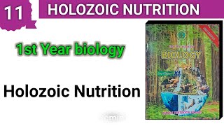 Holozoic Nutrition  chapter 11  1st year bio new book [upl. by Areic]