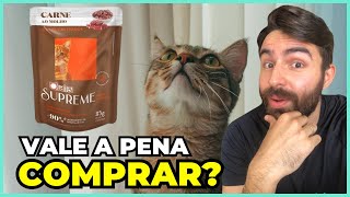 NOVO SACHÊ NO MERCADO O Sachê Quatree Supreme Para Gatos é Bom [upl. by Nnaear]