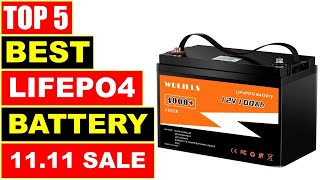 BEST LiFePO4 Battery In 2024  Top 5 Best LiFePO4 Battery for Solar [upl. by Jansen]