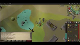 Killing fiyr shades OSRS Español 820kH [upl. by Nemhauser]