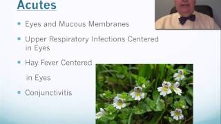 Euphrasia Tip Video [upl. by Saraann]