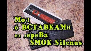 SMOK Silenus со сменными батареями  Обзор электронного мода [upl. by Ennaitsirk222]