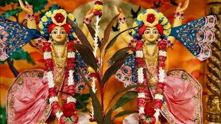 Bhakti Charu Swami Maharaj ClassTranslation by HG Madhuresh Prll October 23rd ll ISKCON Proddatur ll [upl. by Audry]