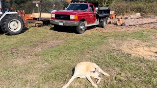 Improving my log trailer [upl. by Day]