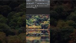 How To EASILY Crop Your Photos In Photoshop [upl. by Akemehs]