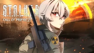 【STALKER CALL OF PRIPYAT】PART 3 [upl. by Ileray743]