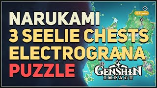 Narukami Island 3 Seelie Chests Electrograna Puzzle Genshin Impact [upl. by Bernita]