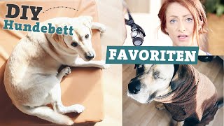 FAVORITEN Hundezubehör  DIY Hundebett selber machen  Bademantel für Hunde [upl. by Nisa]