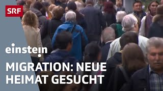 Migration amp Menschenströme – wie die neue Heimat Gesellschaften beeinflusst  Einstein  SRF [upl. by Ggerg180]