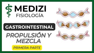 Clase 45 Fisiología Gastrointestinal  Propulsión y Mezcla Parte 1 12 IGdoctorpaiva [upl. by Niamert]