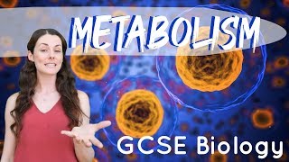 Metabolism  GCSE Biology [upl. by Goddart]