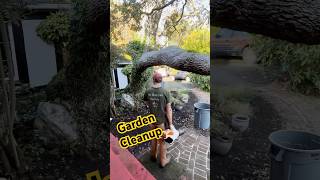 Satisfying Garden Cleanup In 10 Seconds landscaping gardening timelapse [upl. by Beulah709]