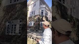 Hotel Woodville Palace Shimla viral hotel himachalpradesh beautyofhills tour2himachal [upl. by Eikcim]