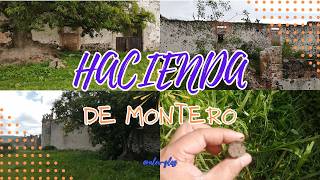 hacienda de montero 👀⛏️ ✅ [upl. by Sualkin]