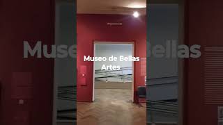 Bellas Artes gratis Recoleta Caba Argentina [upl. by Nielsen]