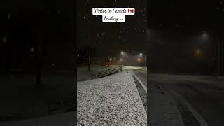 Canada Winter 🇨🇦 ❄ canada winter canadawinter snow december trendingshorts snowfall cold [upl. by Lobel111]