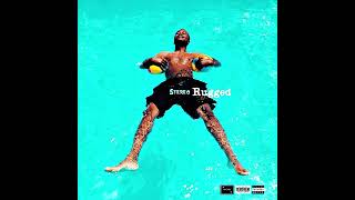 STEREGLO  quotBEACH SQADquot RUGGED Official Audio [upl. by Hara]