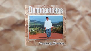 Dominguinhos  quotSanfona Sentidaquot Chegando de Mansinho2002 [upl. by Aja]