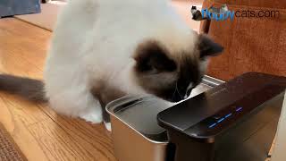 PETLIBRO Glacier Pet Water Fountain The Best Pet Water Fountain on the Market [upl. by Kared]