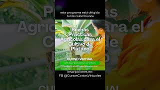 Cursos Cortos Virtuales SENA Sofia Plus shortsvideo [upl. by Kussell]