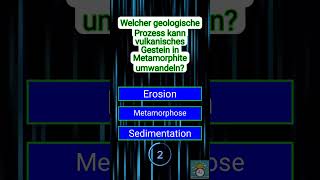 🌋🔥 VulkanMagie enthüllt Wie Lavastein sich verwandelt 🧠💎 [upl. by Ydnelg467]