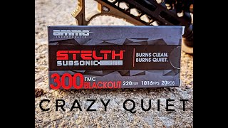 The Ammo Inc Stelth Subsonic Line Is Crazy Quiet [upl. by Gerger]