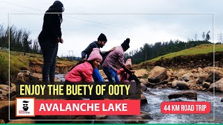 ഊട്ടിയുടെ പ്രകൃതി ഭംഗി ആസാദിച്ചു അവലാഞ്ചെ lake ലേക്കുള്ള യാത്ര [upl. by Anier595]