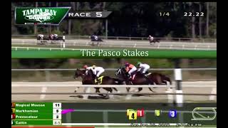 “The Pasco Stakes 2022” Tampa Bay Downs Horse Markhamian [upl. by Nonac]