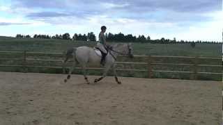 A Lesson on Trotting and Diagonals [upl. by Cyrus]