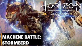 Horizon Zero Dawn  Stormbird Battle [upl. by Anuqahs]