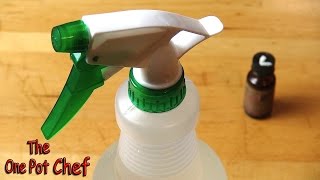 Quick Tips Home Made Air Freshener  One Pot Chef [upl. by Dearden]