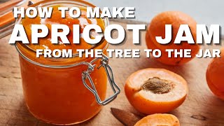 How to make Apricot Jam  Our 1 Acre Homestead  Year 1 [upl. by Tiana]