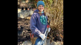 How to Prune Mophead and Lacecap Hydrangeas [upl. by Urbani]