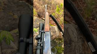 Hunting with my old browning bar 3006 this afternoon [upl. by Sinnaiy]