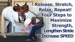 Four Steps to Maximize Strength Lengthen Stride amp Increase Barrel Racing SPEED with Stretches [upl. by Carmon]