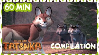 Tatonka en français 🐺 Compilation 1H 👀 La Grande Menace 🐺 Dessins animés [upl. by Samp219]