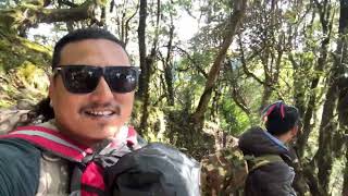 Mardi himal trek day 3 [upl. by Bellis756]